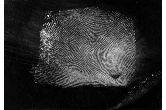 Schwarze Folie mit abgenommenem Fingerabdruck. image