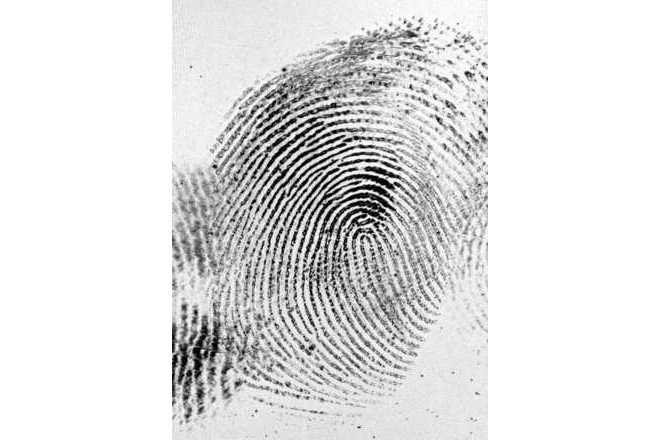 Fingerprint on a mobile phone display (directly scanned). image
