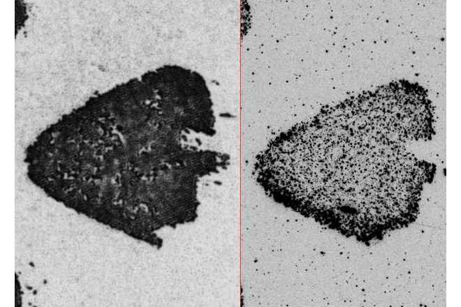 Detailní srovnání přímého otisku stopy s želatinovou fólií image