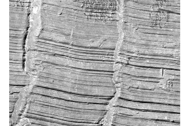Detail von Werkzeugspuren auf der Oberfläche des Schließzylinders. Gescannter Bereich: 18 x 14 mm. Scanzeit: 1:18 min. Dateigröße: 136 MB image