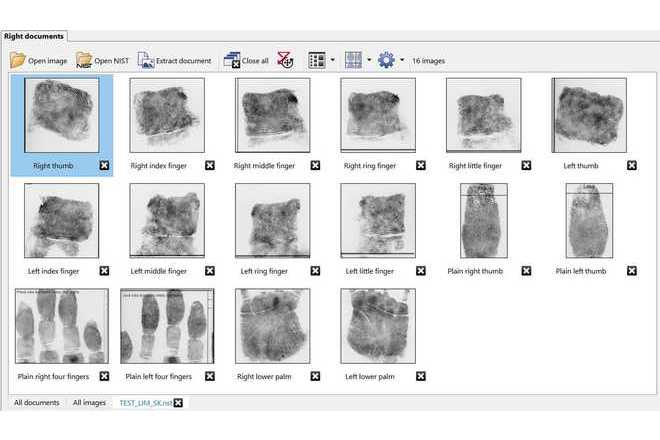 Image manager with a NIST file opened image