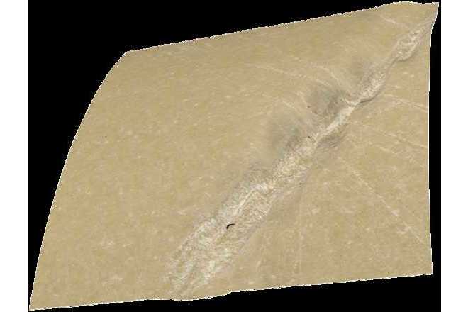 3D-Bild eines Knochens mit detaillierten Werkzeugspuren. Farbkamera. image