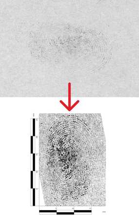 Foto des fluoreszentes Fingerabdrucks verbessert mit Drehung, Kurven, lokalen Kontrast, Ausleuchtung mit zusätzlichem digitalem Maßstab. image