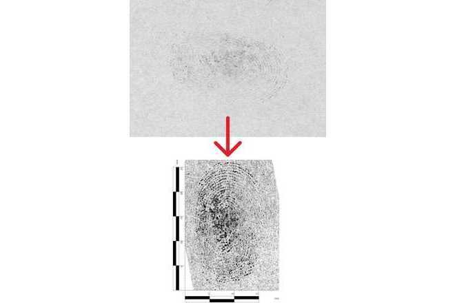 Foto des fluoreszentes Fingerabdrucks verbessert mit Drehung, Kurven, lokalen Kontrast, Ausleuchtung mit zusätzlichem digitalem Maßstab. image