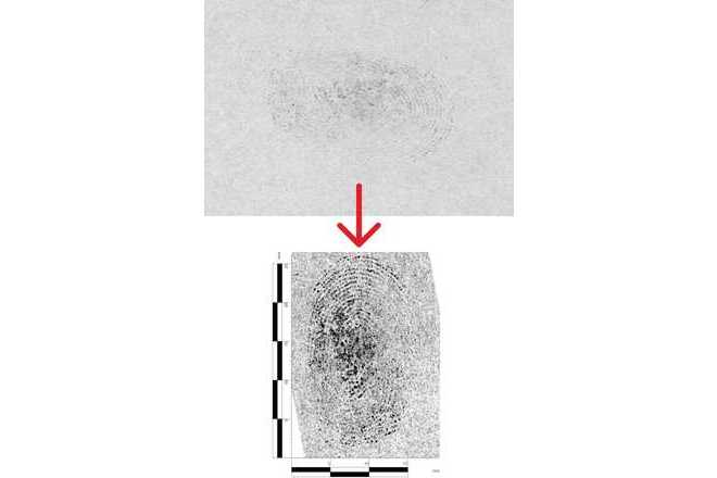 Fotografie ošetřeného otisku prstu vylepšeného rotací, křivkami, lokálním kontrastem a osvětlením s přidaným digitálním měřítkem. image