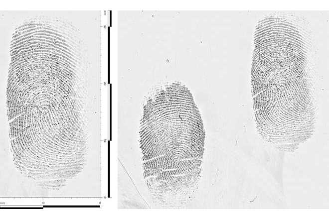 Detail desselben Fingerabdrucks, der mit der LUCIA Forensic-Software bearbeitet wurde. image
