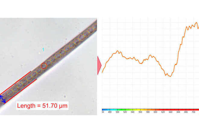 Fibre, Transmittance measured in brightfield, diascopic illumination image