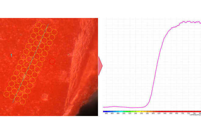 Paint chip, Reflectance measured in darkfield, episcopic illumination image