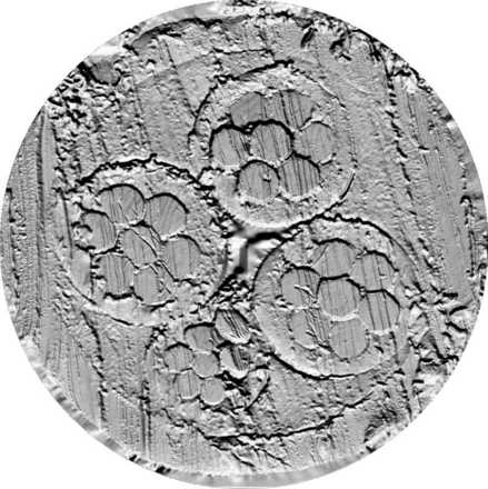 eines Kabelschnitts image