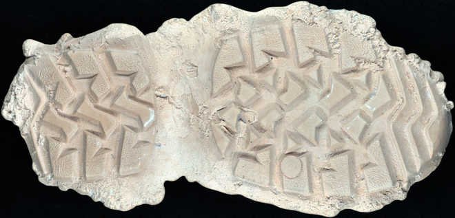 Shoeprint cast image