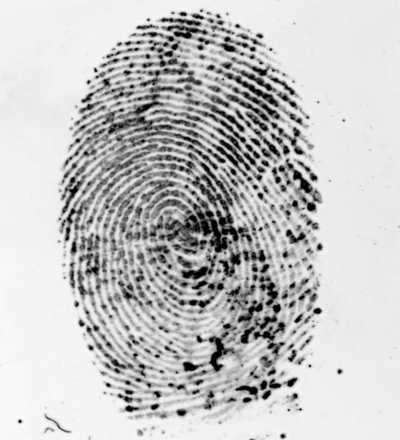 Fingerprint treated with polycyano (365 nm excitation, 400 nm UV cut filter). image