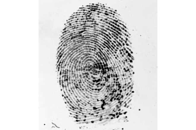 Fingerprint treated with polycyano (365 nm excitation, 400 nm UV cut filter). image