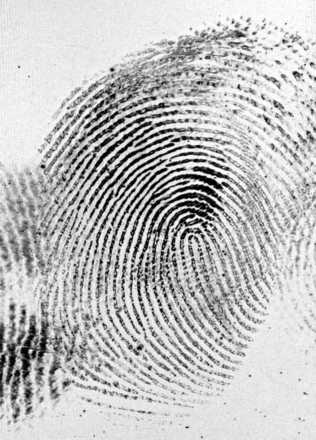 Fingerprint on a mobile phone display (directly scanned). image