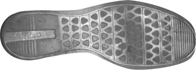Directly scanned shoe sole image