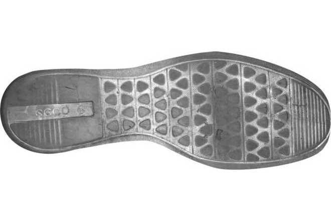 Directly scanned shoe sole image