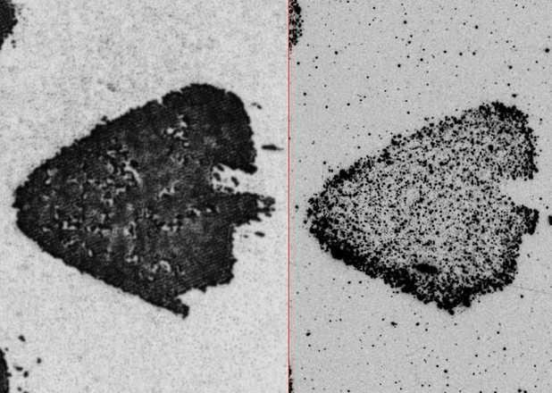 Detailed comparison of direct and lifted shoeprints image