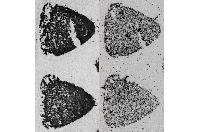 Detaillierter Vergleich des direkten Schuhabdrucks mit der abgenommenen Schuhspur image