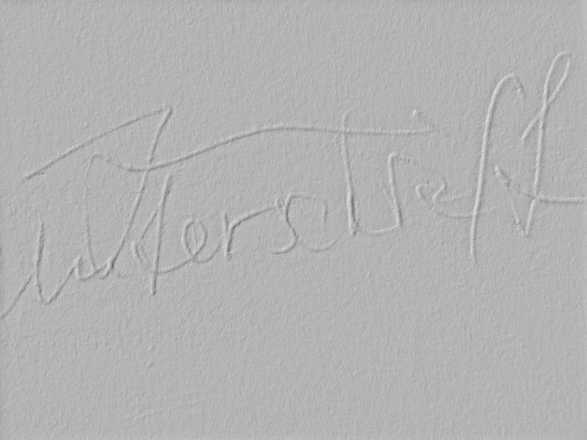 Signature in 3D image