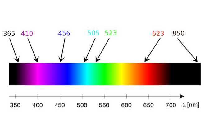 Available wavelengths image